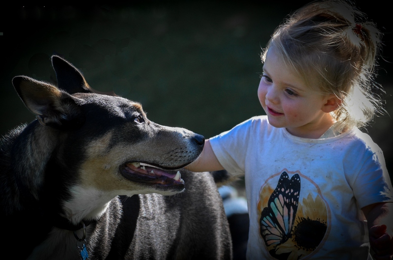 Dogs and Their People